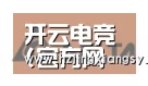 开云电竞官网合作伙伴六