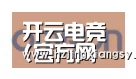 开云电竞官网合作伙伴五