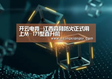 开云电竞