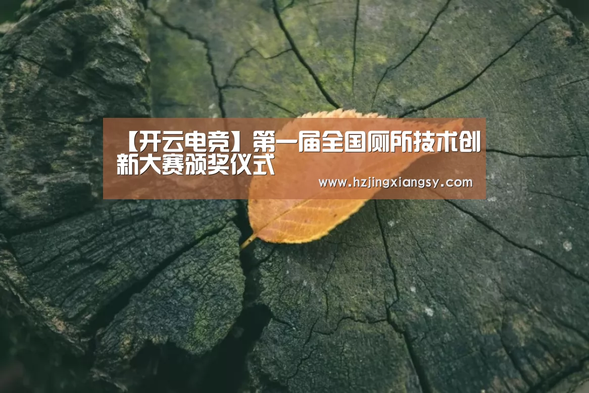 【开云电竞】第一届全国厕所技术创新大赛颁奖仪式(图1) 开云电竞app下载安装