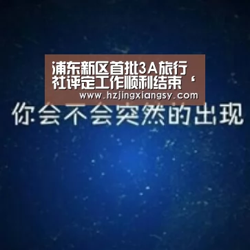 浦东新区首批3A旅行社评定工作顺利结束‘开云电竞官网’(图2) 开云电竞官网