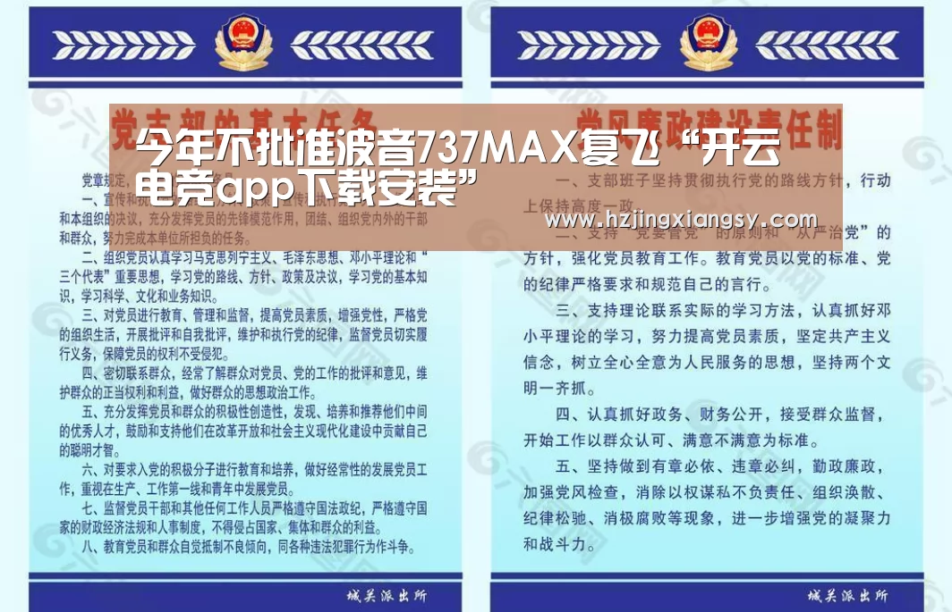 今年不批准波音737MAX复飞“开云电竞app下载安装”(图2) 开云电竞app下载安装