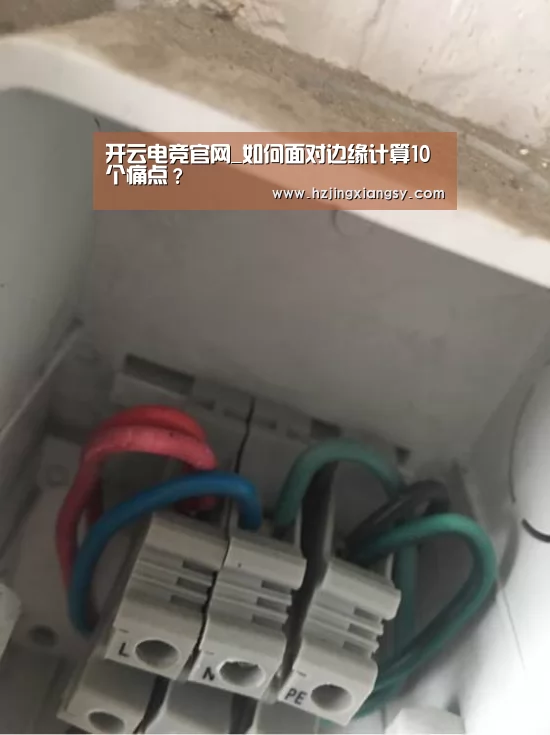 开云电竞官网